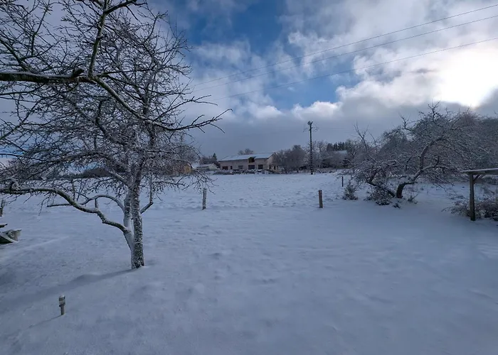 Le Cosy De Appartement *